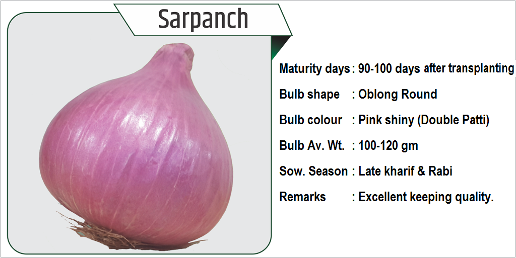 Sarpanch